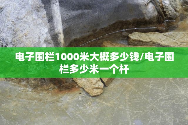 电子围栏1000米大概多少钱/电子围栏多少米一个杆