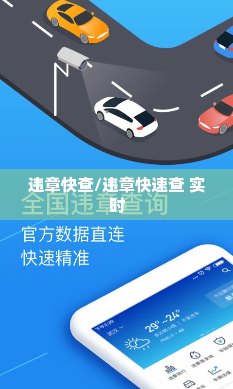 违章快查/违章快速查 实时