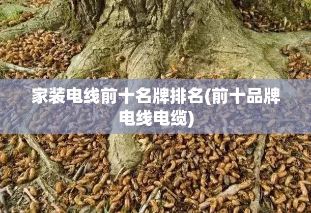 家装电线前十名牌排名(前十品牌电线电缆)