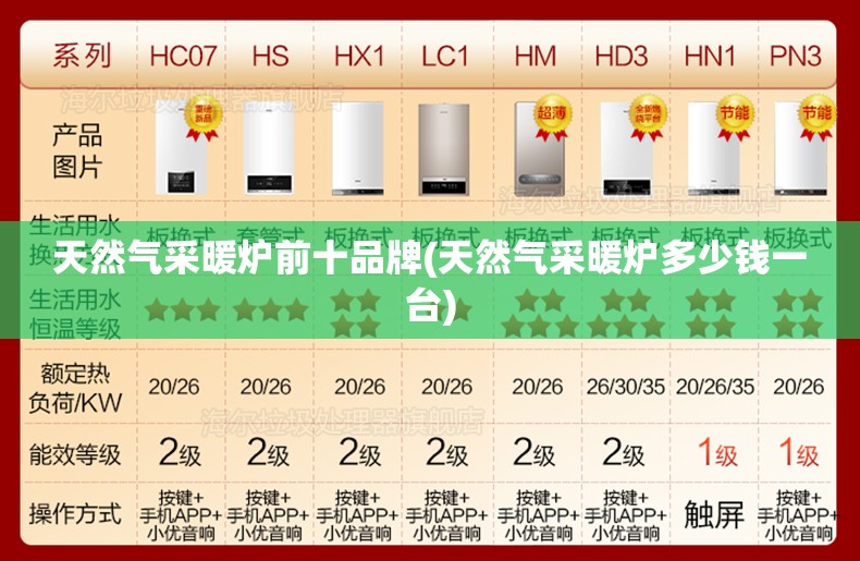 天然气采暖炉前十品牌(天然气采暖炉多少钱一台) 天然气采暖炉前十品牌(天然气采暖炉多少钱一台)