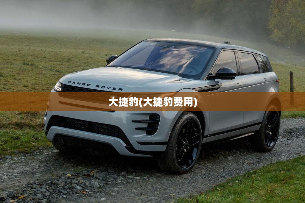 大捷豹(大捷豹费用)