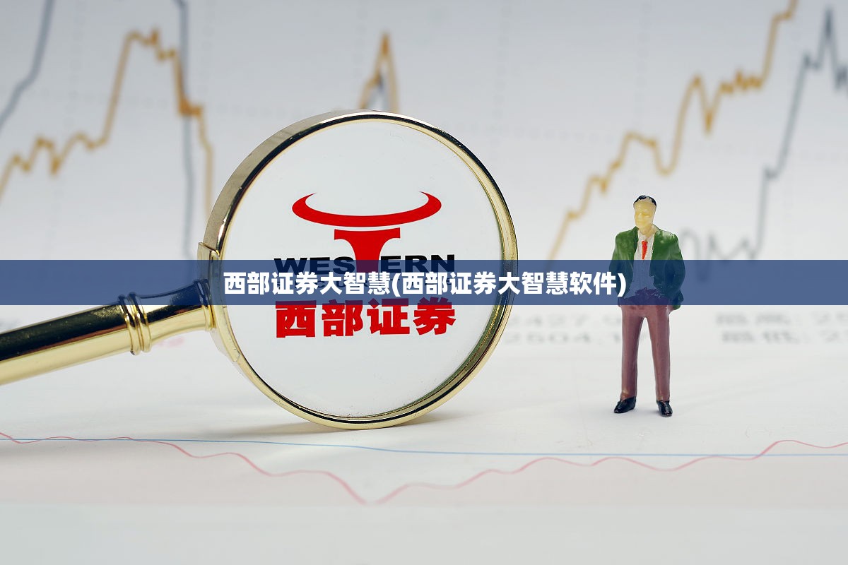 西部证券大智慧(西部证券大智慧软件)