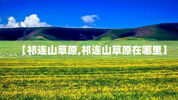【祁连山草原,祁连山草原在哪里】