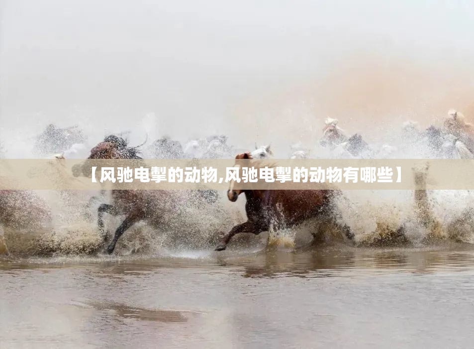 【风驰电掣的动物,风驰电掣的动物有哪些】