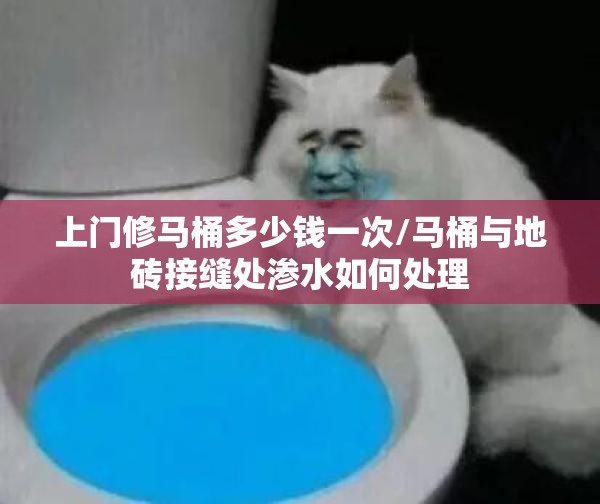 上门修马桶多少钱一次/马桶与地砖接缝处渗水如何处理 上门修马桶多少钱一次/马桶与地砖接缝处渗水如何处理