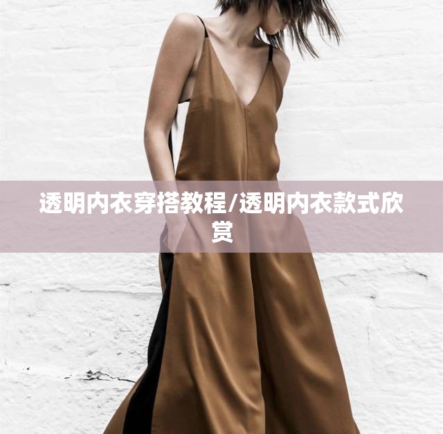 透明内衣穿搭教程/透明内衣款式欣赏