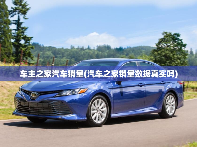 车主之家汽车销量(汽车之家销量数据真实吗)