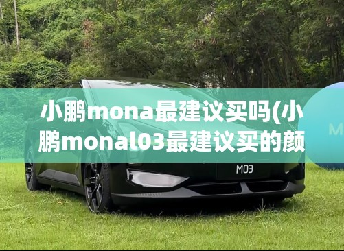 小鹏mona最建议买吗(小鹏monal03最建议买的颜色)