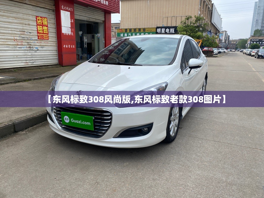 【东风标致308风尚版,东风标致老款308图片】