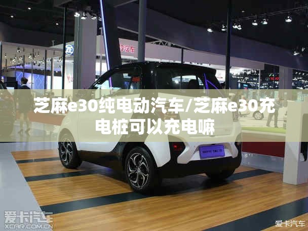 芝麻e30纯电动汽车/芝麻e30充电桩可以充电嘛