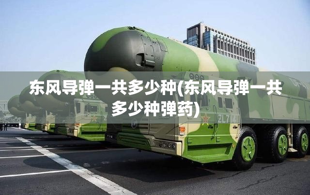 东风导弹一共多少种(东风导弹一共多少种弹药)