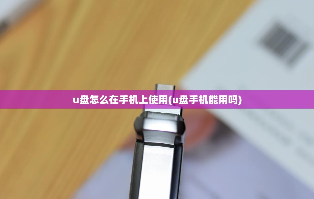u盘怎么在手机上使用(u盘手机能用吗)
