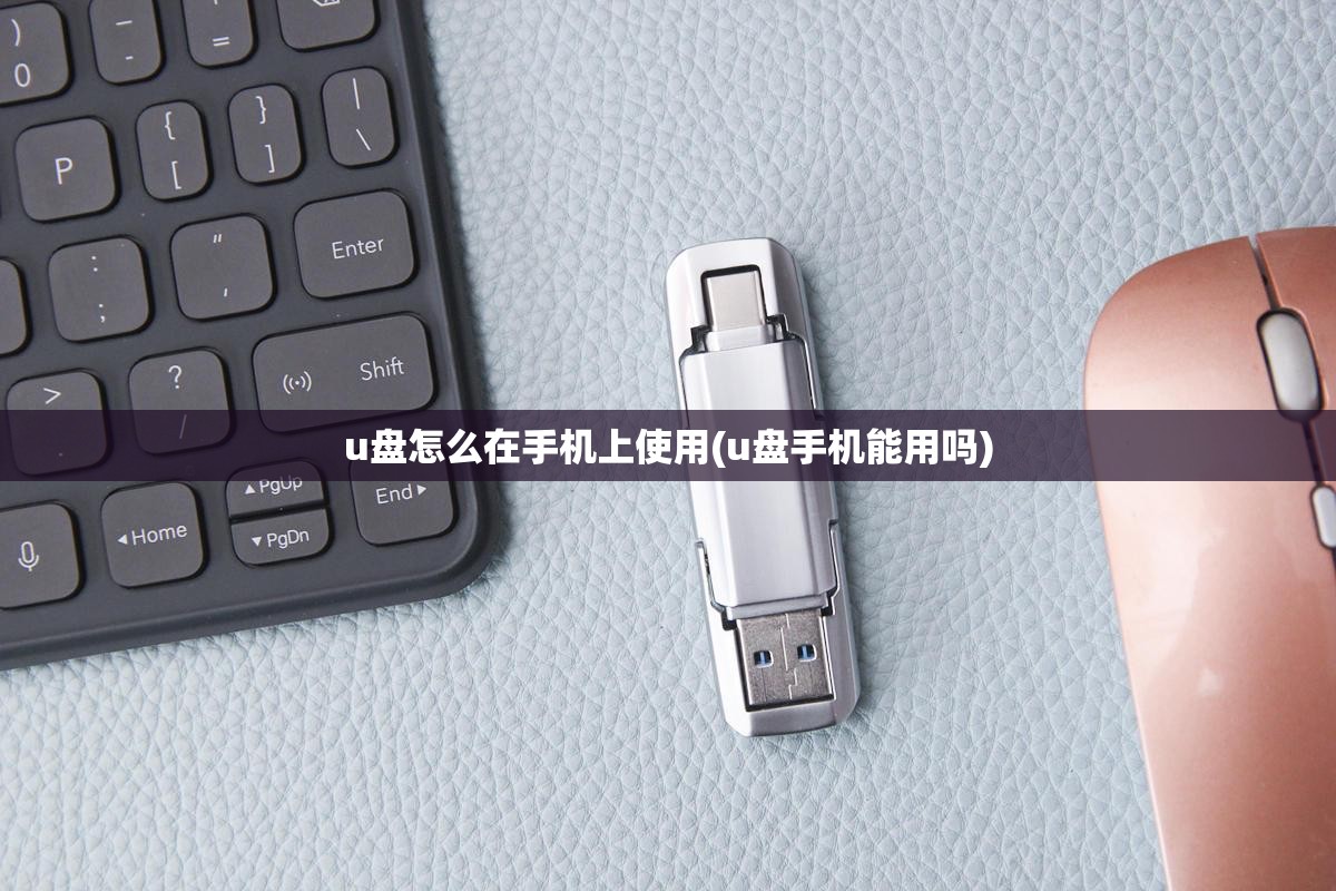 u盘怎么在手机上使用(u盘手机能用吗)