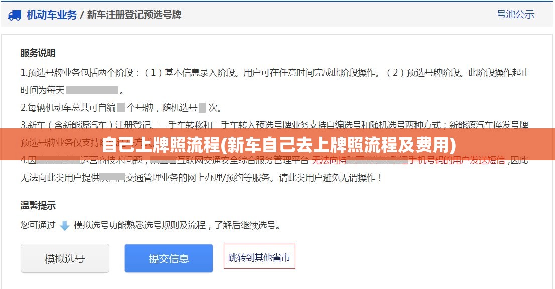 自己上牌照流程(新车自己去上牌照流程及费用)