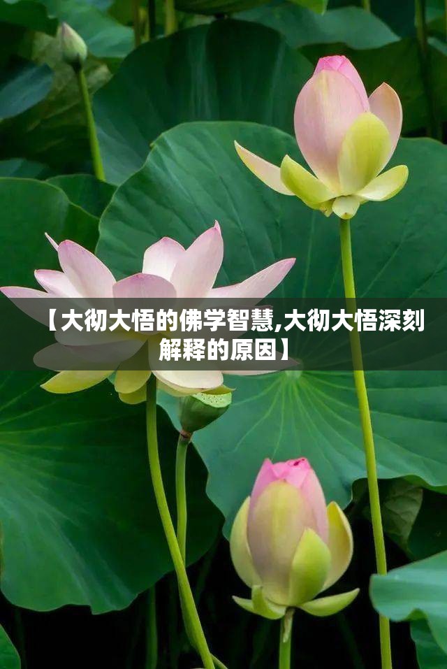 【大彻大悟的佛学智慧,大彻大悟深刻解释的原因】