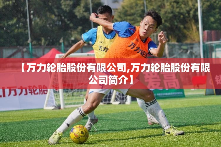 【万力轮胎股份有限公司,万力轮胎股份有限公司简介】