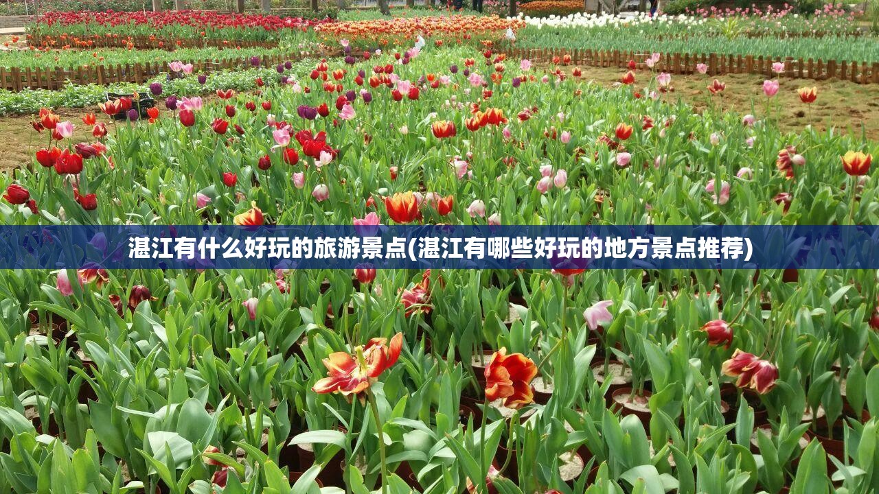湛江有什么好玩的旅游景点(湛江有哪些好玩的地方景点推荐) 湛江有什么好玩的旅游景点(湛江有哪些好玩的地方景点推荐)