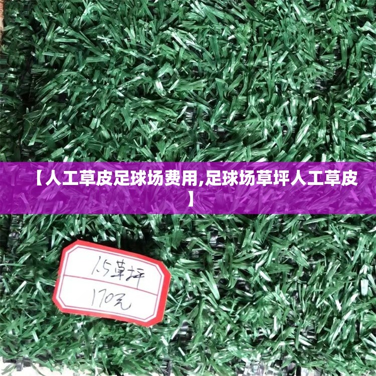 【人工草皮足球场费用,足球场草坪人工草皮】
