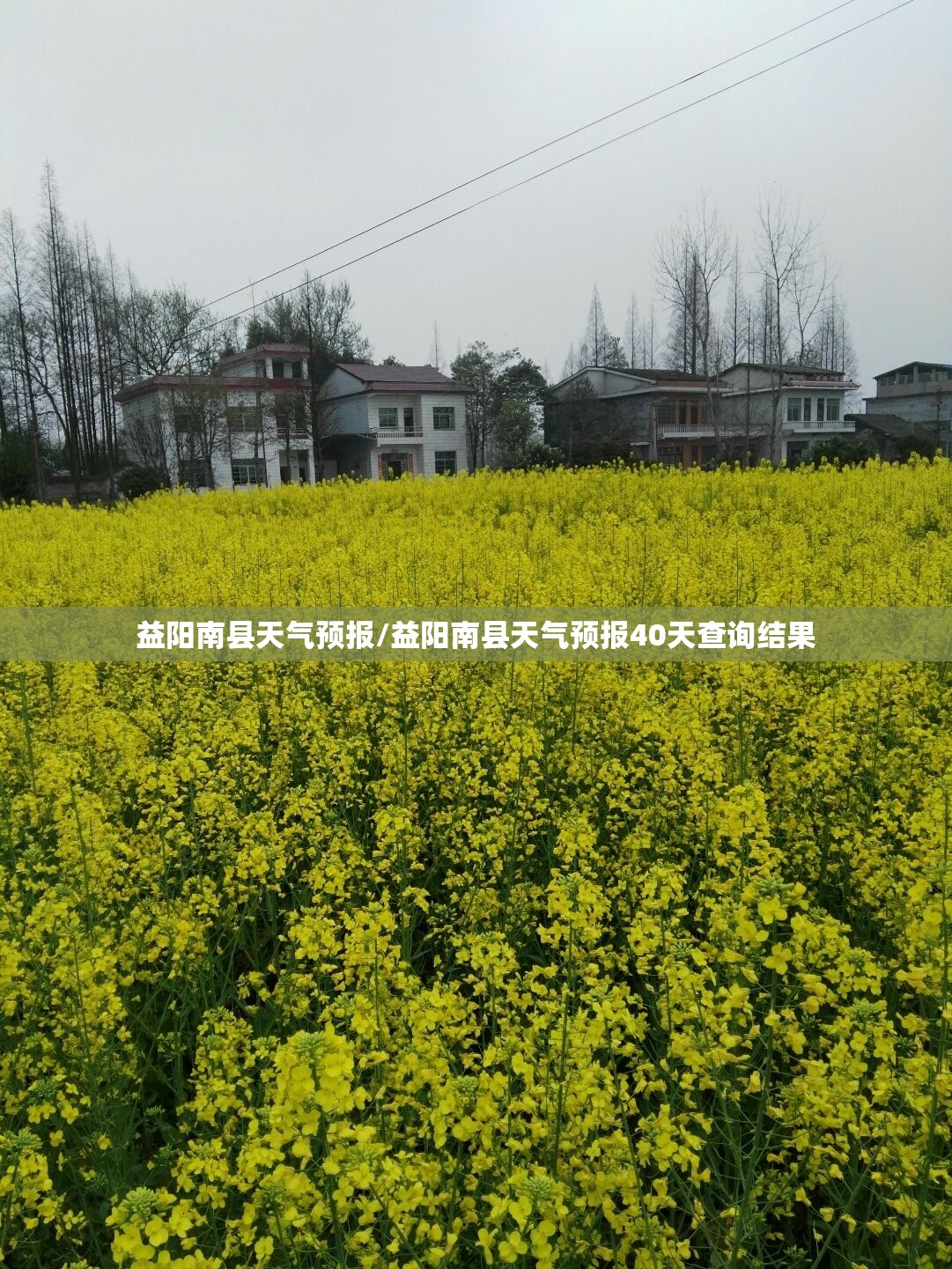 益阳南县天气预报/益阳南县天气预报40天查询结果