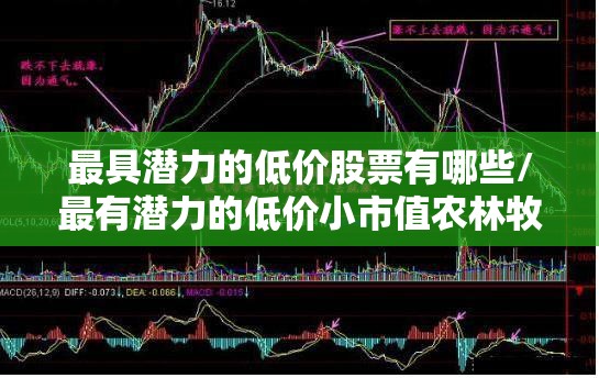 最具潜力的低价股票有哪些/最有潜力的低价小市值农林牧渔股票
