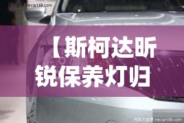 【斯柯达昕锐保养灯归零,斯柯达明锐保养灯归零步骤】
