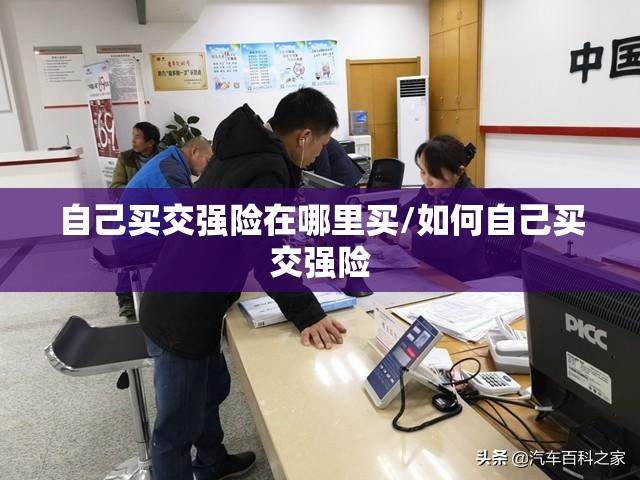 自己买交强险在哪里买/如何自己买交强险