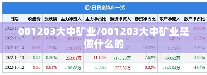 001203大中矿业/001203大中矿业是做什么的