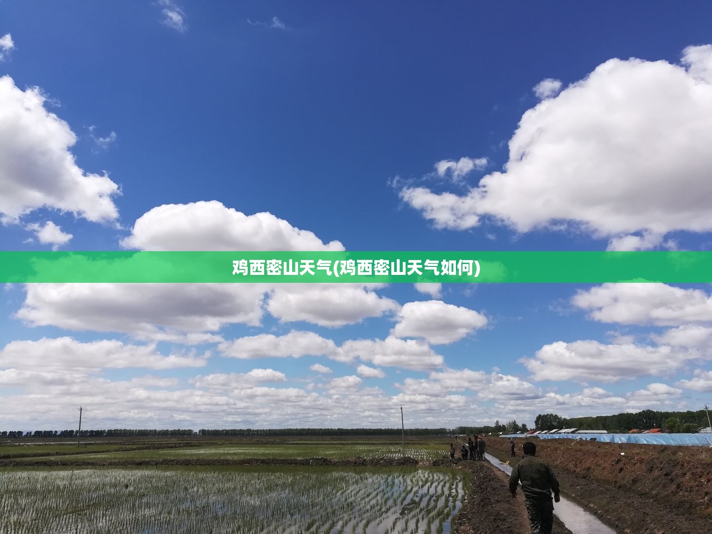 鸡西密山天气(鸡西密山天气如何)