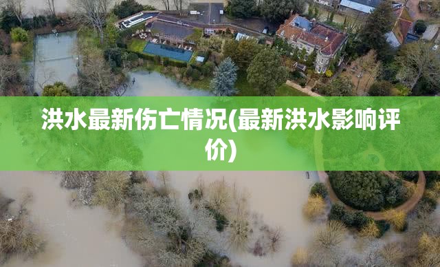 洪水最新伤亡情况(最新洪水影响评价)