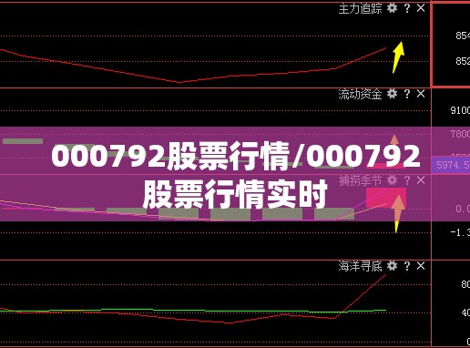 000792股票行情/000792股票行情实时