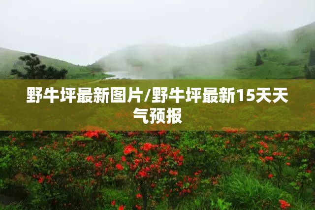 野牛坪最新图片/野牛坪最新15天天气预报