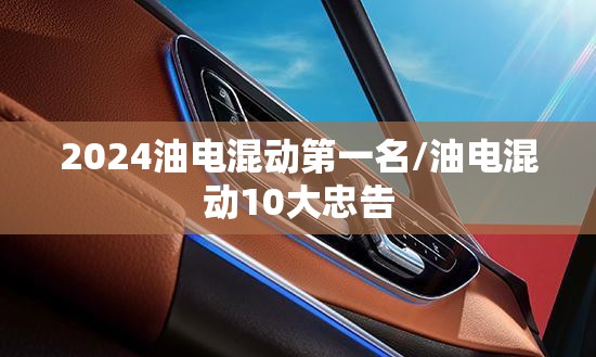 2024油电混动第一名/油电混动10大忠告