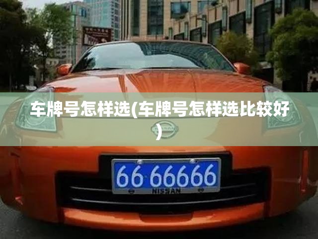 车牌号怎样选(车牌号怎样选比较好)