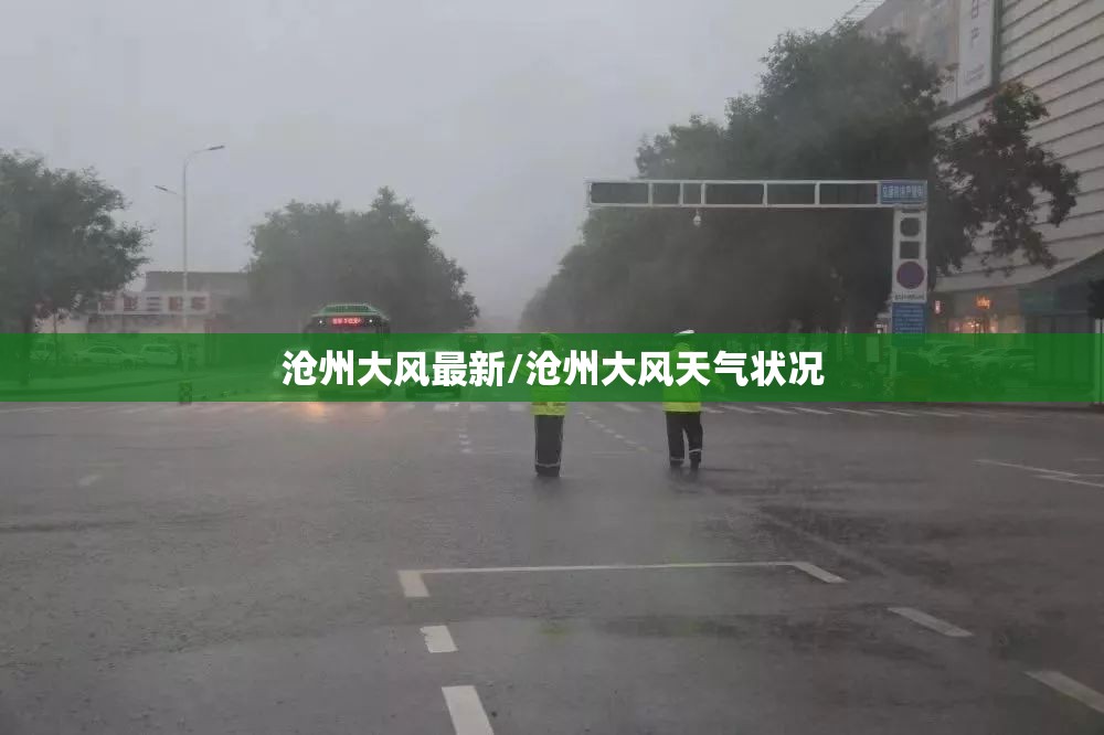 沧州大风最新/沧州大风天气状况
