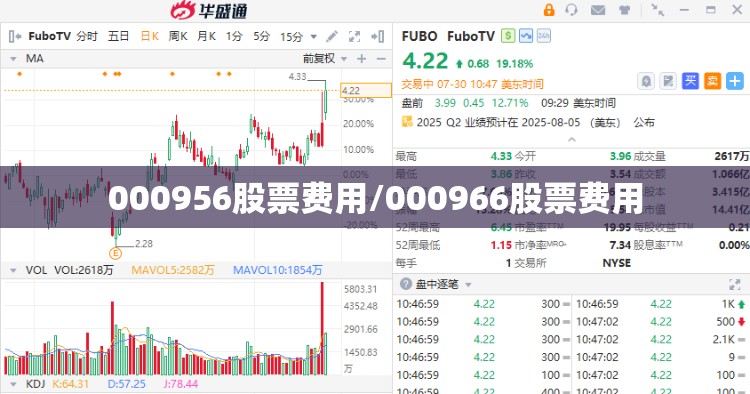 000956股票费用/000966股票费用