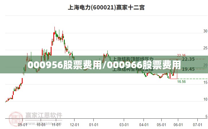 000956股票费用/000966股票费用