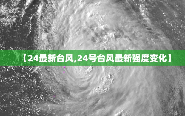 【24最新台风,24号台风最新强度变化】