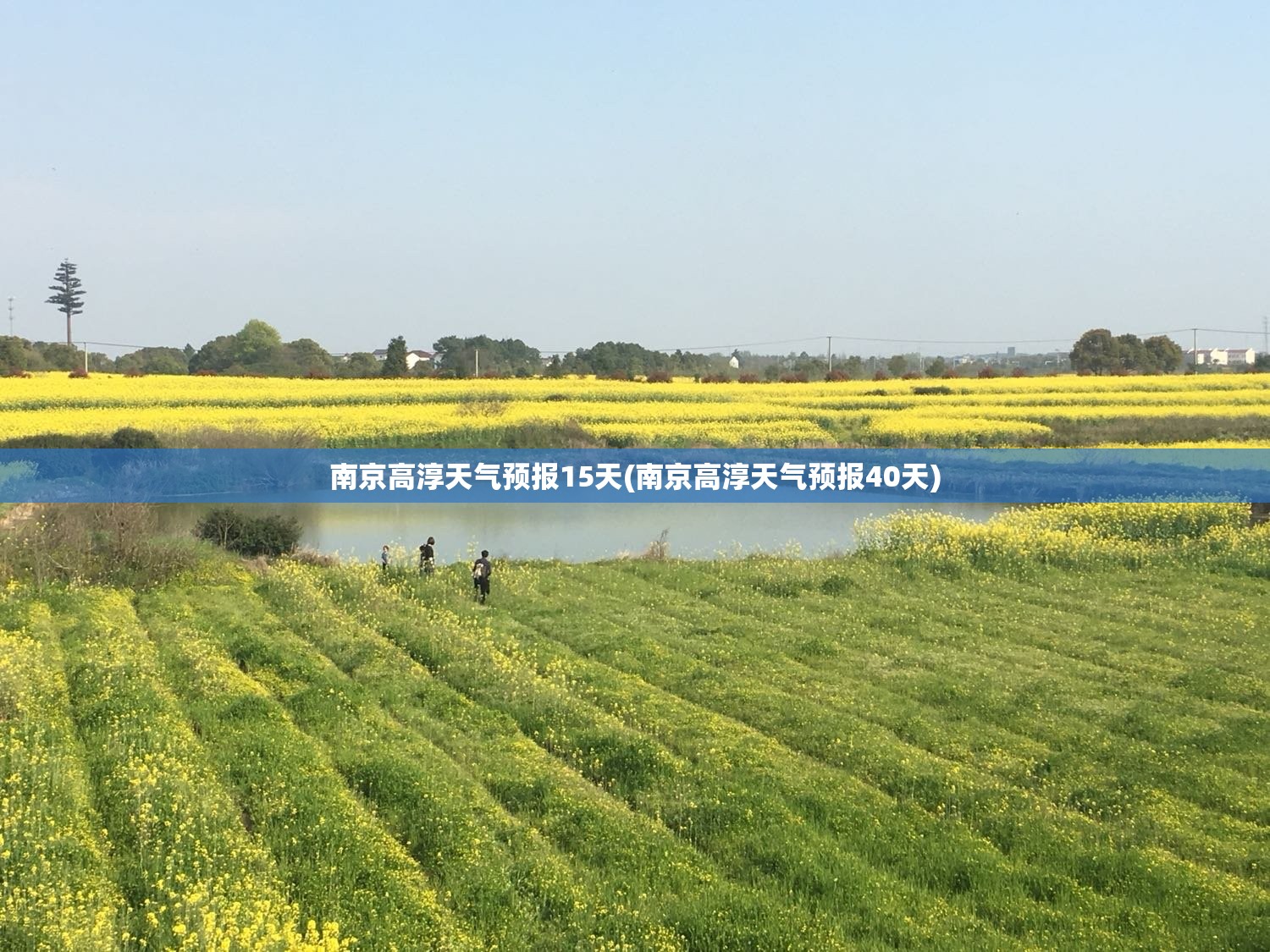 南京高淳天气预报15天(南京高淳天气预报40天)