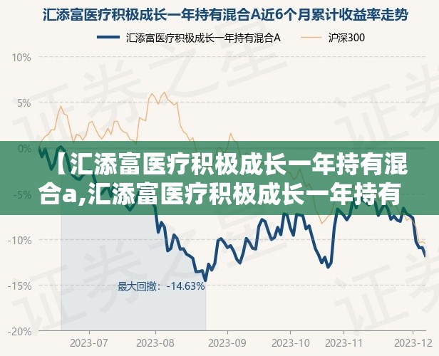【汇添富医疗积极成长一年持有混合a,汇添富医疗积极成长一年持有净值】