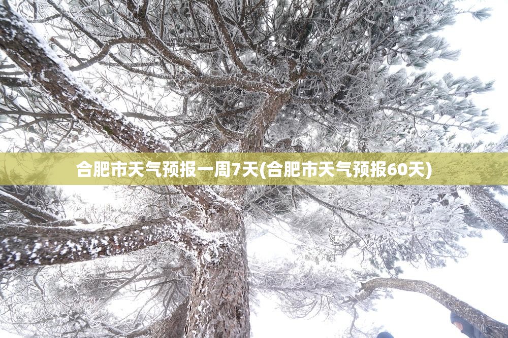 合肥市天气预报一周7天(合肥市天气预报60天)