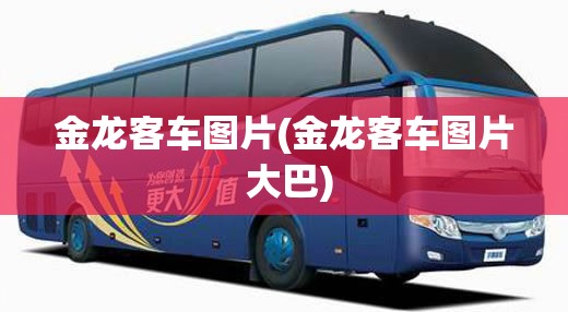 金龙客车图片(金龙客车图片 大巴)