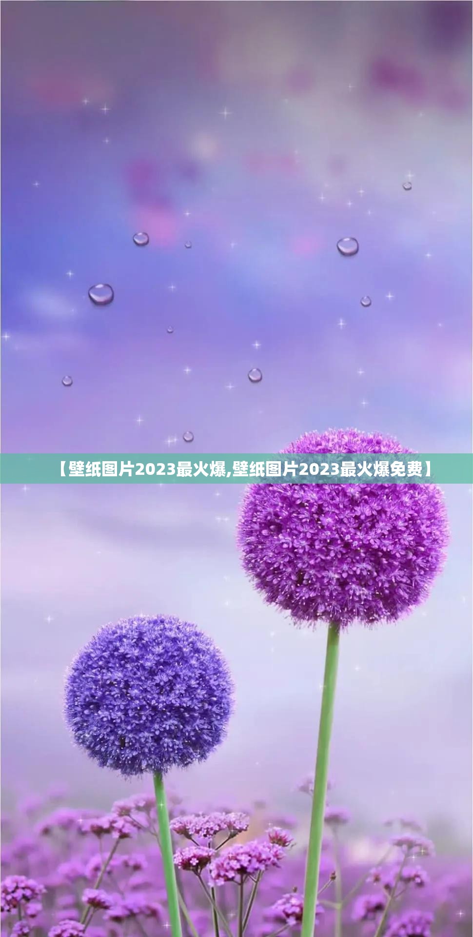 【壁纸图片2023最火爆,壁纸图片2023最火爆免费】
