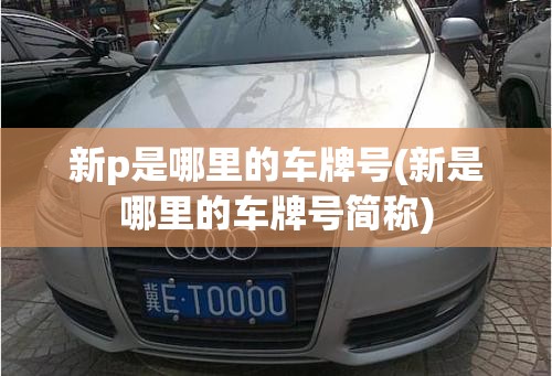 新p是哪里的车牌号(新是哪里的车牌号简称)