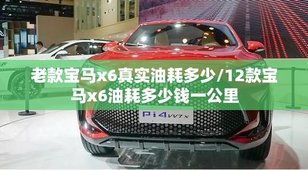 老款宝马x6真实油耗多少/12款宝马x6油耗多少钱一公里 老款宝马x6真实油耗多少/12款宝马x6油耗多少钱一公里