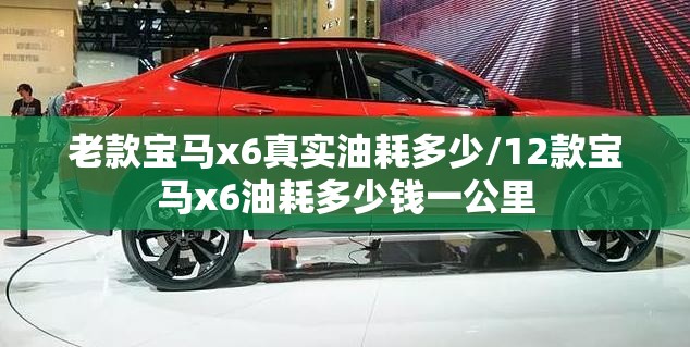 老款宝马x6真实油耗多少/12款宝马x6油耗多少钱一公里 老款宝马x6真实油耗多少/12款宝马x6油耗多少钱一公里