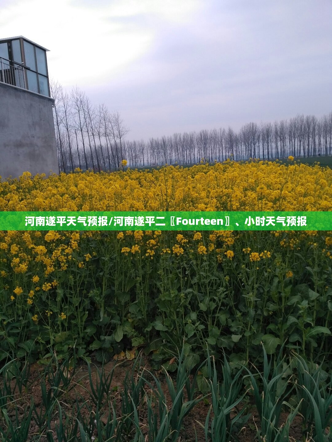河南遂平天气预报/河南遂平二〖Fourteen〗、小时天气预报