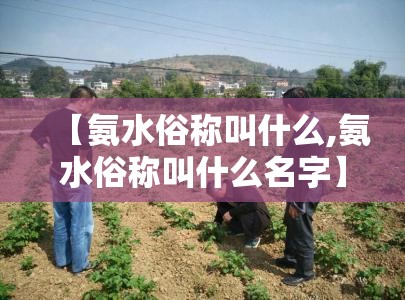 【氨水俗称叫什么,氨水俗称叫什么名字】