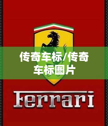 传奇车标/传奇车标图片