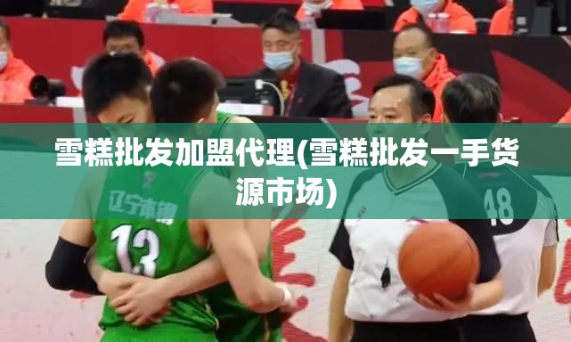 雪糕批发加盟代理(雪糕批发一手货源市场)