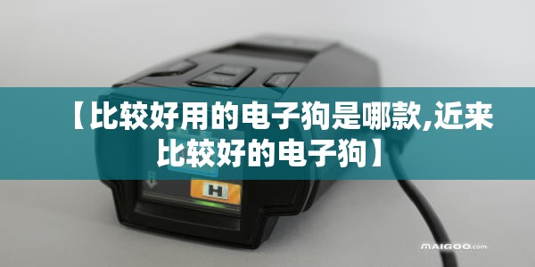 【比较好用的电子狗是哪款,近来比较好的电子狗】